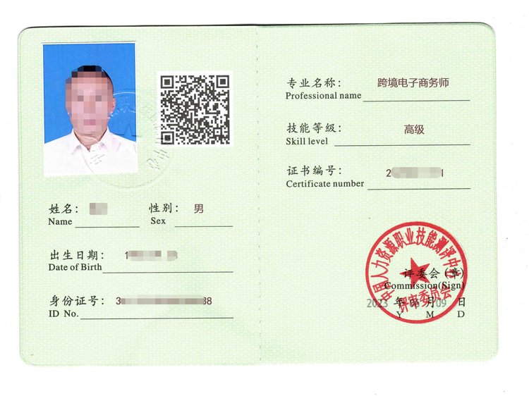 跨境电子商务师（高级）个人证书与职业技能证书一对一服务 个人商务服务的价值与路径